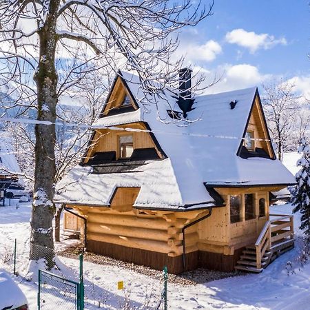 Domek Sekret Zakopane Kültér fotó