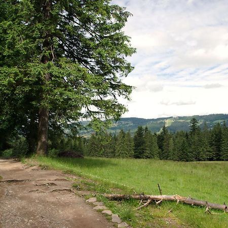 Domek Sekret Zakopane Kültér fotó