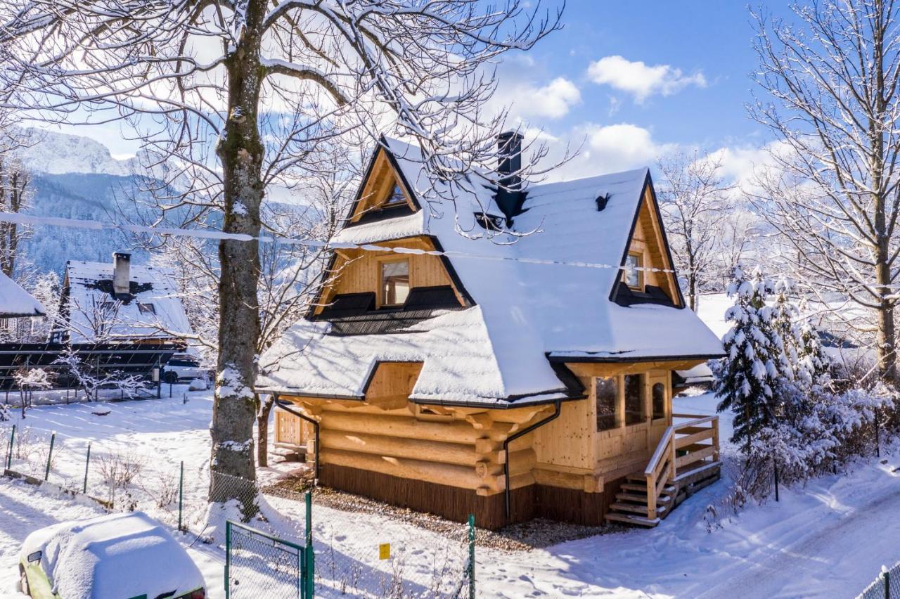 Domek Sekret Zakopane Kültér fotó