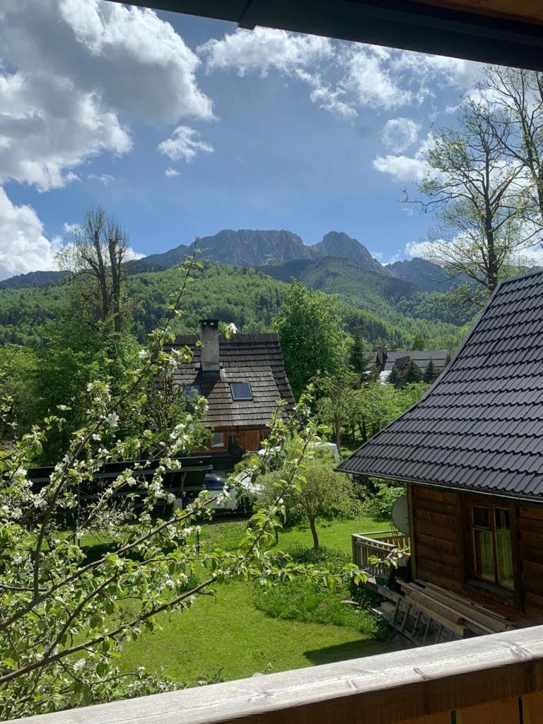 Domek Sekret Zakopane Kültér fotó