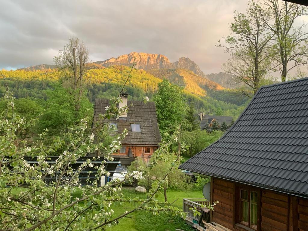 Domek Sekret Zakopane Kültér fotó