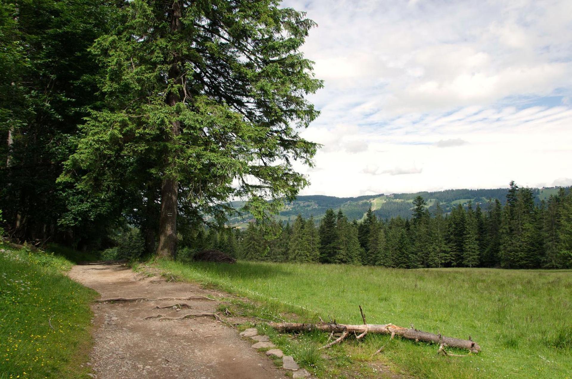 Domek Sekret Zakopane Kültér fotó